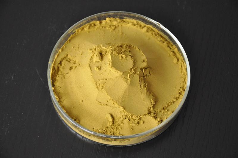Milk Thistle Extract.JPG