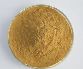 astragalus extrac