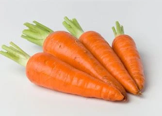 carrot carrot