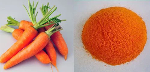 carotene and carrots