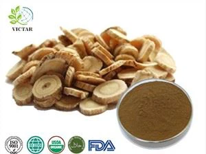 Chiết xuất Astragalus