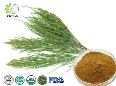 Đuôi ngựa chiết xuất