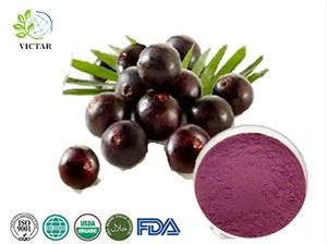 Acai Berry Juice Powder