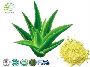 Chiết xuất nha đam