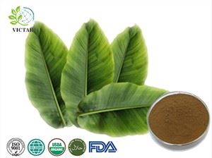 Chiết xuất Banaba