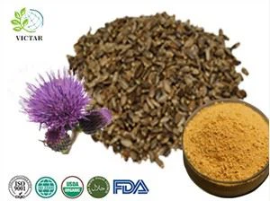 Chiết xuất cây kế sữa