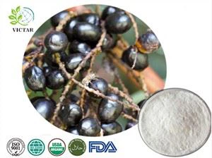 Chiết xuất Saw Palmetto