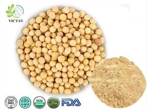 Chiết xuất đậu nành Isoflavone đậu nành