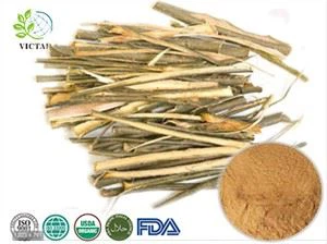 Chiết xuất vỏ cây liễu