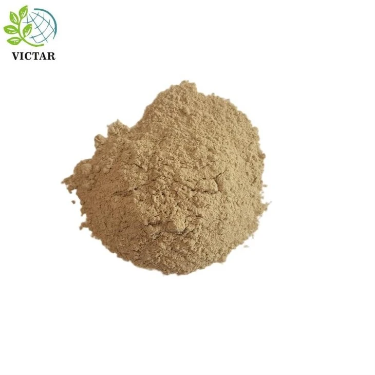 Bột xương cựa