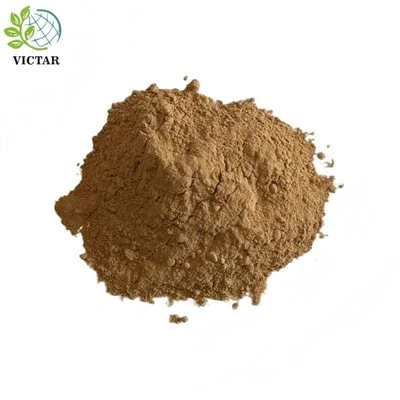 Bột nấm bờm sư tử